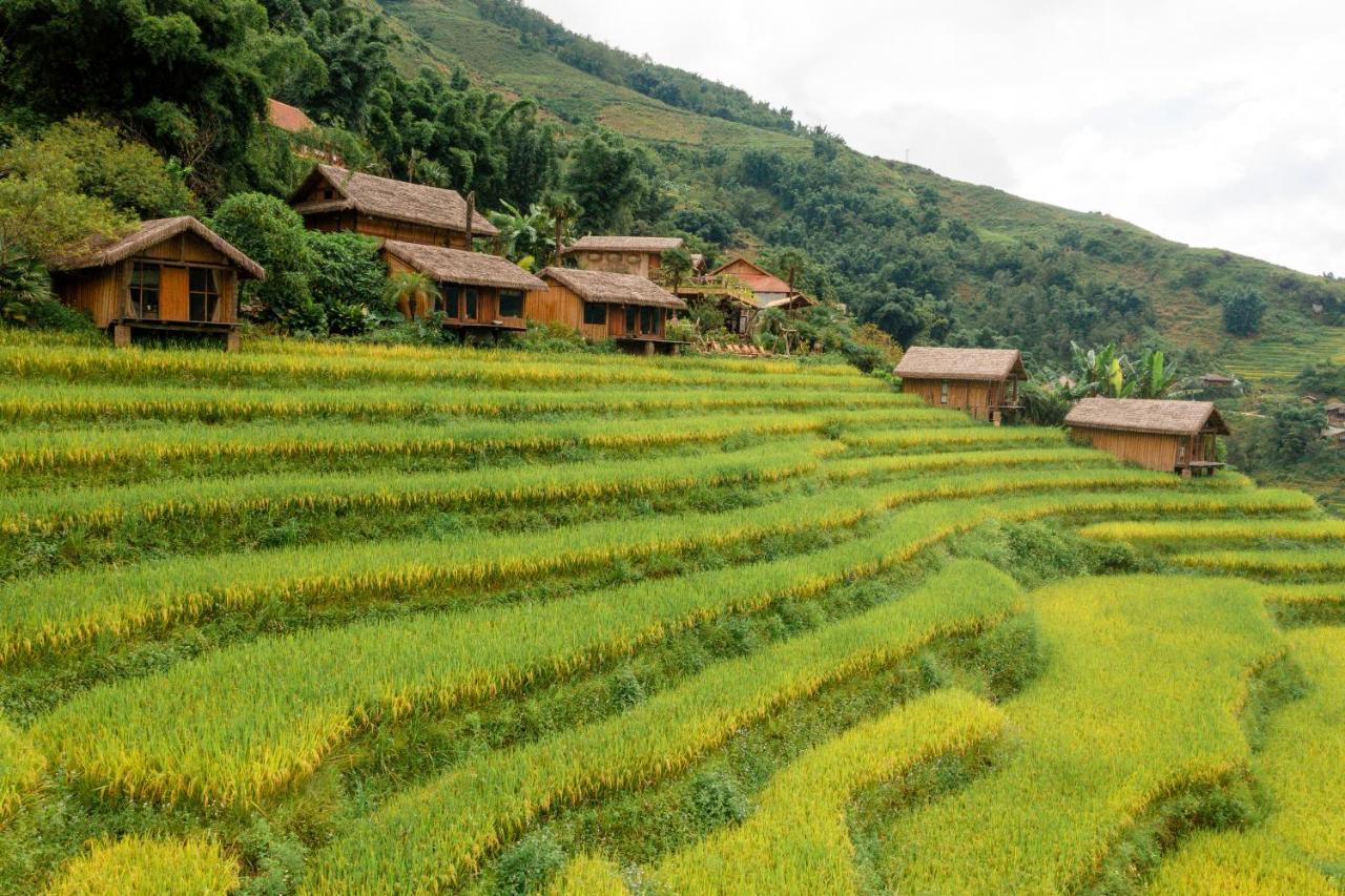 Eco Palms House - Sapa Retreat Hotel Екстериор снимка