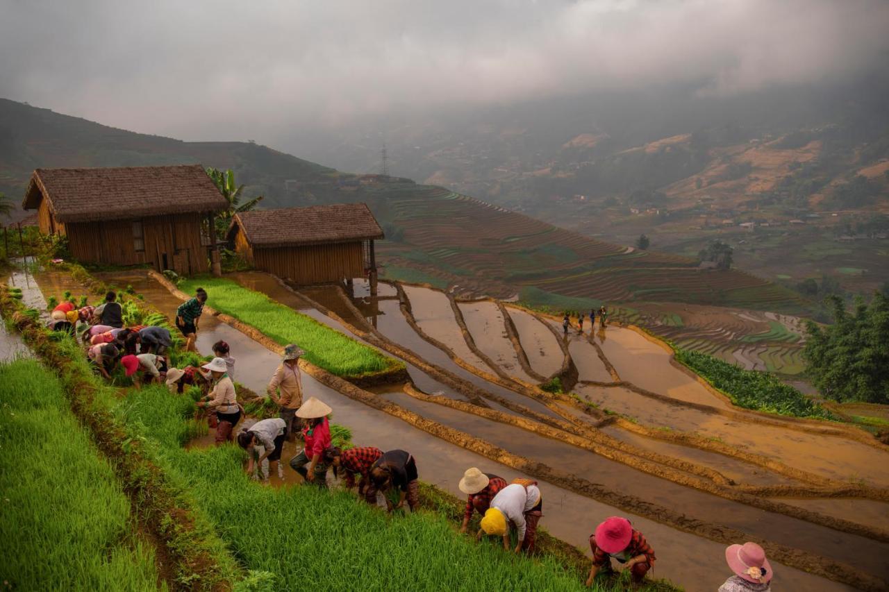 Eco Palms House - Sapa Retreat Hotel Екстериор снимка
