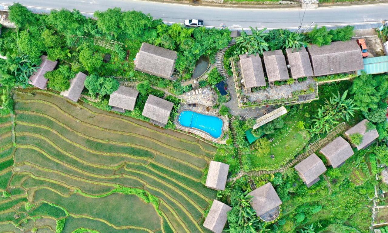 Eco Palms House - Sapa Retreat Hotel Екстериор снимка