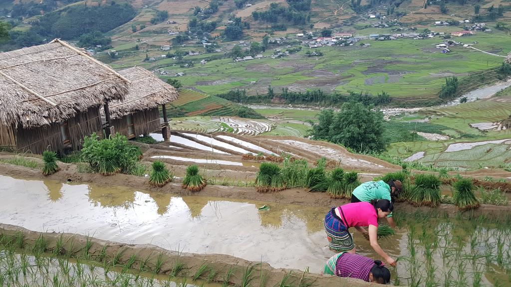 Eco Palms House - Sapa Retreat Hotel Екстериор снимка