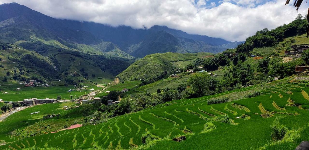 Eco Palms House - Sapa Retreat Hotel Екстериор снимка